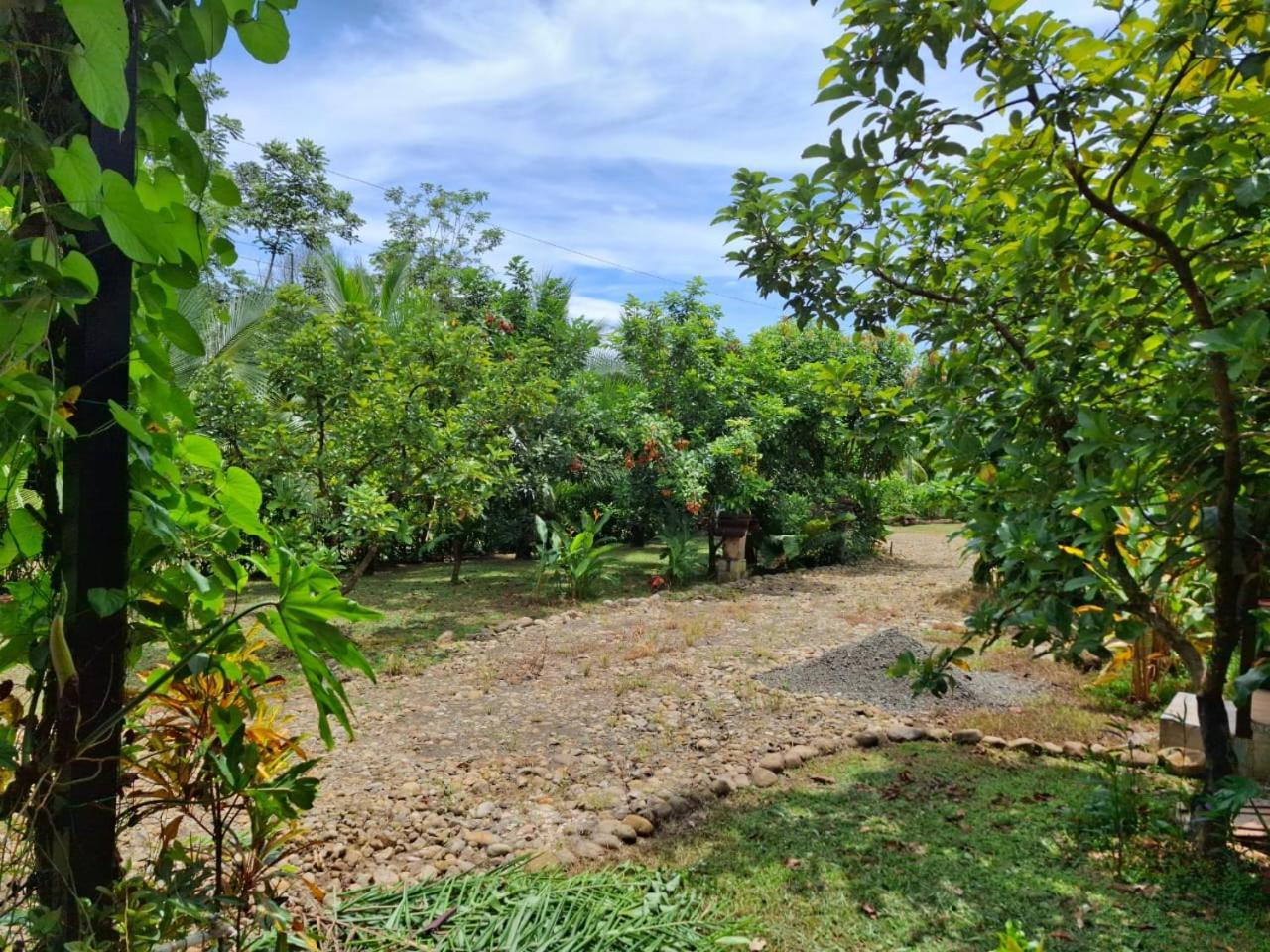 Bungalow Batsù La Fortuna Extérieur photo
