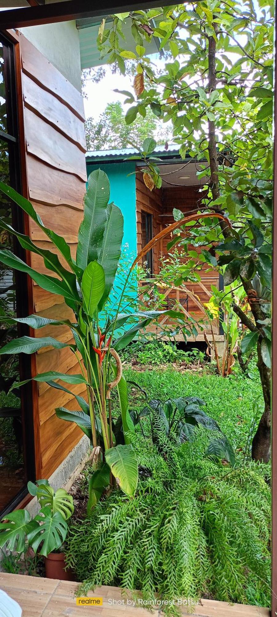 Bungalow Batsù La Fortuna Extérieur photo